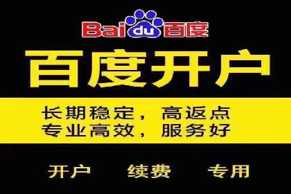 竞价推广公司案例分析：精准投放策略助力企业业绩翻倍
